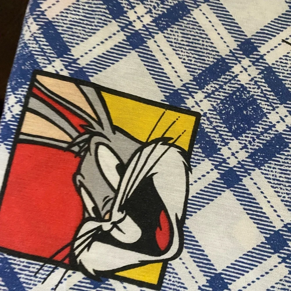 Vintage 1995 Looney Tunes Warner Bros. Character Plaid Blue WhiteTwin Flat Sheet